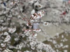 -上方山森林动物世界