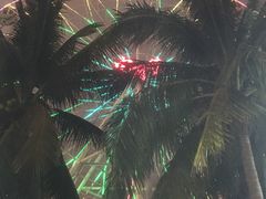 -万绿园