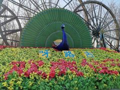-呀路古热带植物园