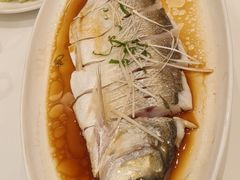 清蒸多宝鱼-香丰阁·烤鸭·川湘菜(昌平店)