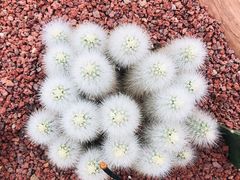 -南通洲际绿博园