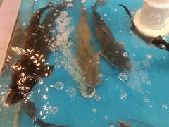 -永辉超市(回龙观店)