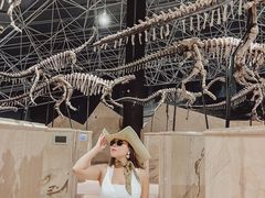 -世界恐龙谷景区