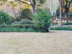 -昆山城市生态森林公园