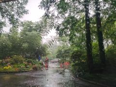 -浙江西子宾馆·瑶园咖啡厅