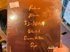 -独音唱片 Indie Music