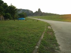 -堤边美食