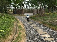 -春花秋色城市公园