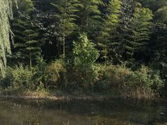 -南山风景名胜区