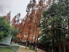 -白鹭湾湿地公园