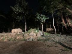 -清迈夜间动物园