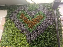 -浦江城市生活广场(江月路店)