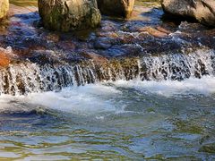 -北仑森林植物园