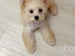 -北京恒爱动物医院(清景园分院)