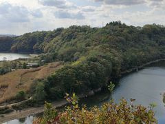 -黄椅山火山森林公园