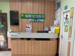 -瑞鹏宠物医院·夜间急症·心超·猫科(祖庙分店)