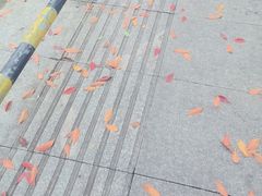 -索拉古贝(义乌北苑店)