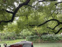 -西溪国家湿地公园