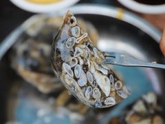 土笋冻-铭聚章鱼土笋冻(松柏店)