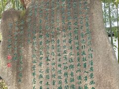 -南汇桃花村