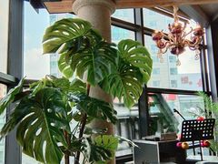 -LYFATTI 莱芙缇(赣水路店)