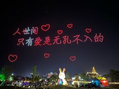 -荷兰花海