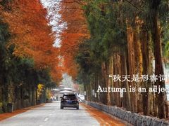 -山王坪喀斯特国家生态公园