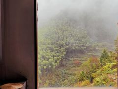 -杨家堂村