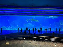 -珠海长隆海洋王国
