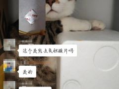 -伟伟宠物医院·瑞派猫友好医院·猫科(光谷店)
