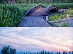 -永定河休闲森林公园