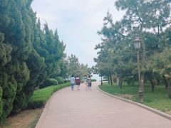 景点-燕儿岛山公园