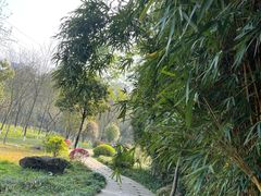 -重庆彩云湖湿地公园