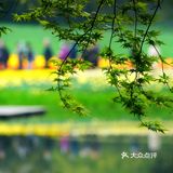 以水为媒，奏响五彩斑斓的春日序曲