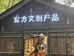 -中国大熊猫保护研究中心雅安碧峰峡基地