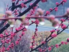 -棒棰岛宾馆景区