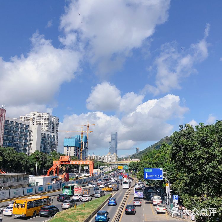 冰爽一夏的瑞幸新品～