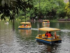 -晓港公园