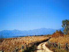 -野鸭湖国家湿地公园