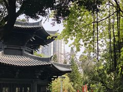 -荔湾湖公园