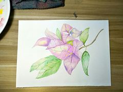 -八哥美术·成人美术画室(总校区)