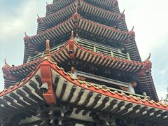 -红花山公园
