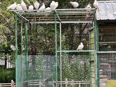 -水磨沟公园