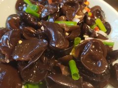 -聚乐城火锅(仁寿2023年餐饮名店)