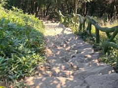 -梧桐山风景名胜区