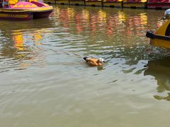 -南翠屏公园