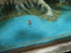 -秦皇岛新澳海底世界