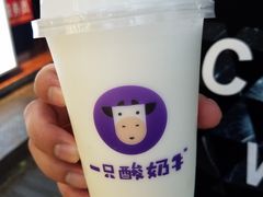 -一只酸奶牛(八一路店)