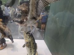 -国家自然博物馆