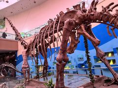 -陕西自然博物馆